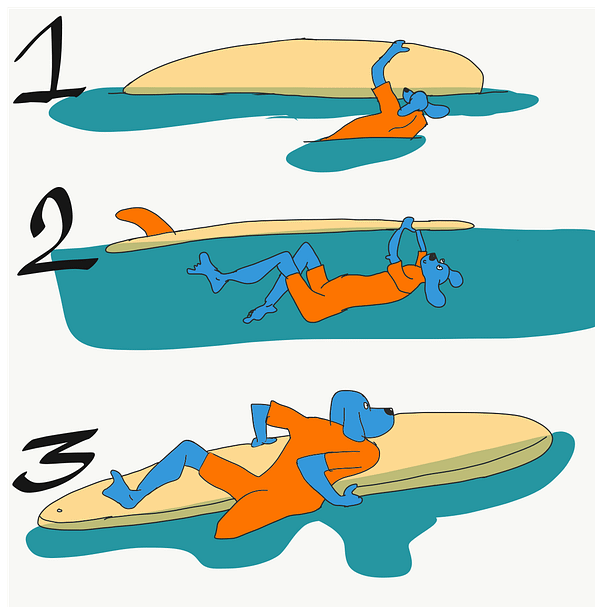 le plongeon tortue en détail Mayana Surf En grande planche, réalisez le plongeon tortue en détail par Mayana Surf