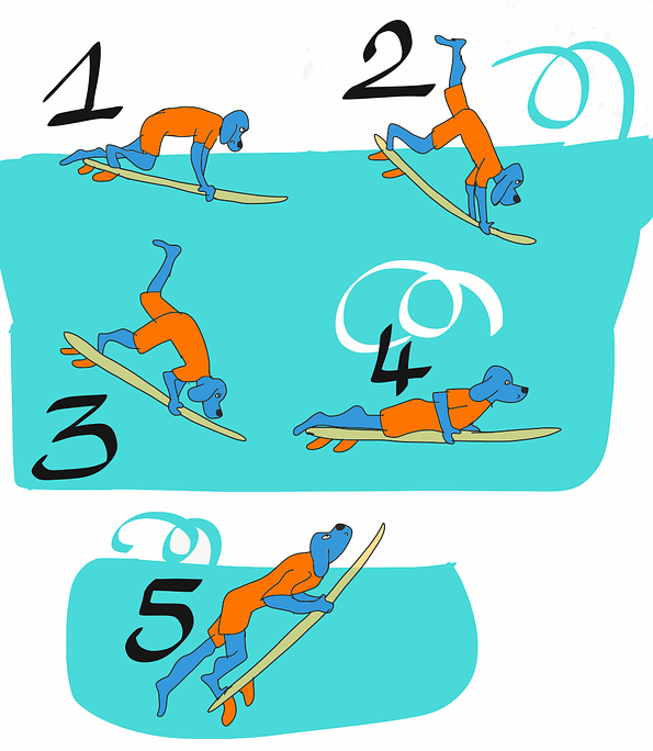 Le plongeon canard en surf dans le détail - Mayanasurf Surf: le plongeon canard en surf dans le détail - Mayanasurf
