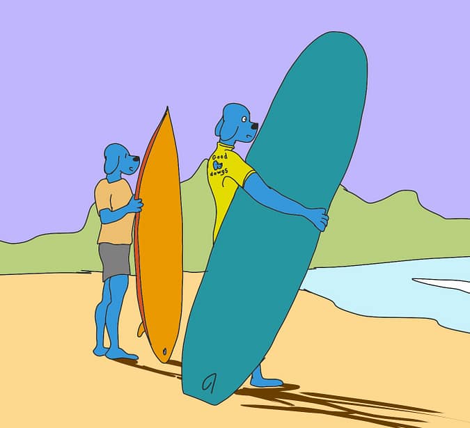 deux planches de surf