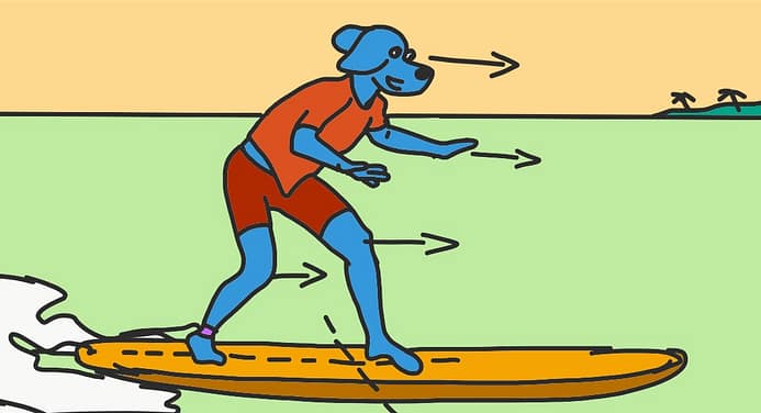 Position debout sur une planche de surf débutant - Copyright Fabrice Rehel