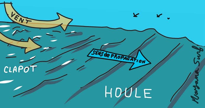 Formation de la houle sous l'effet du vent