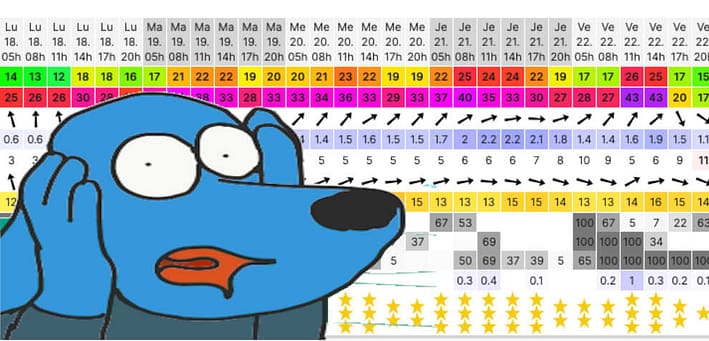 Frayeur devant un tableau windguru - Fabrice Rehel