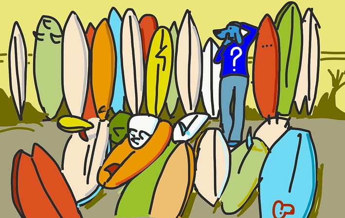 Choix de planche - copyright Fabrice Rehel