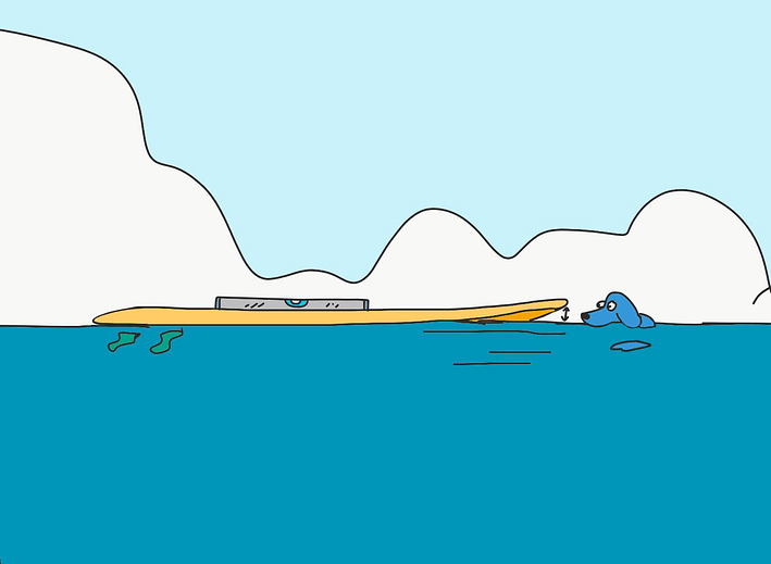 Assiette de la planche sur l'eau