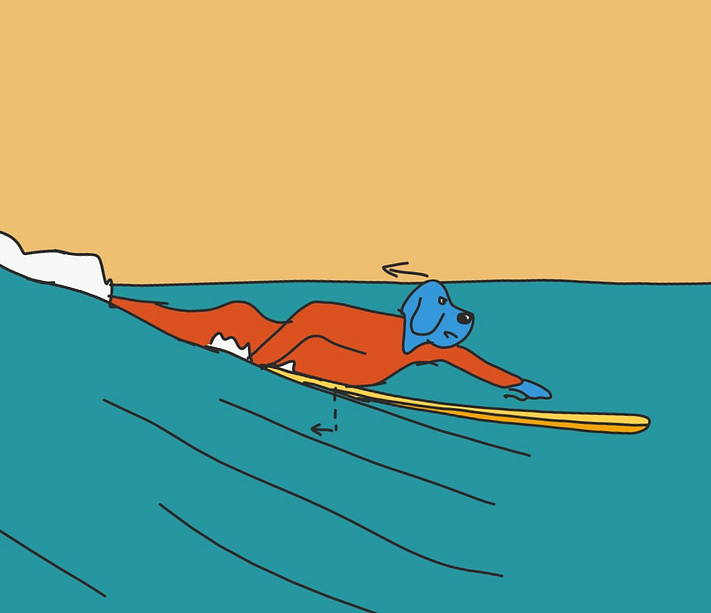 Relevez la tête et le buste pour contrebalancer la poussée verticale de la vague sur votre tail