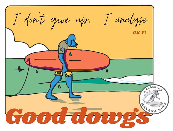 I don't give up, I analyse, ok-Good dowgs