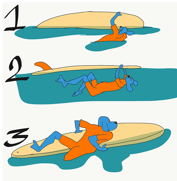 En grande planche, réalisez le plongeon tortue en détail par Mayana Surf